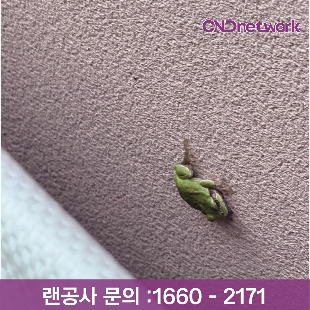 CND네트워크 외벽 랜선 인입 - 건물 외벽 랜선 관통 홀 시공 현장, 외부 배선 마감 처리 전문, 랜공사 문의 1660-2171