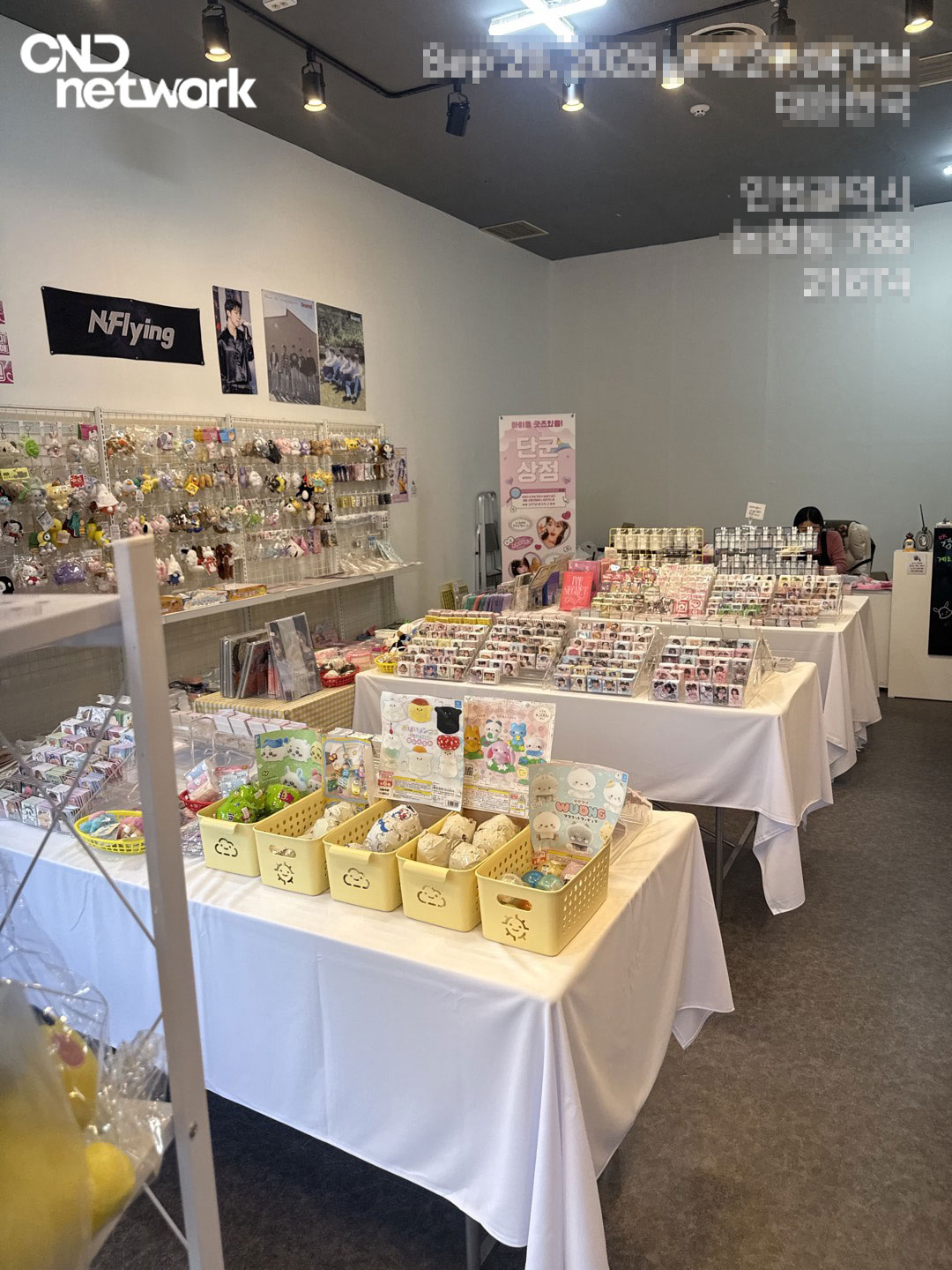 인천 논현동 단군상점 굿즈샵 매장 내부, 캐릭터 굿즈와 포토카드가 진열된 판매 공간 전경