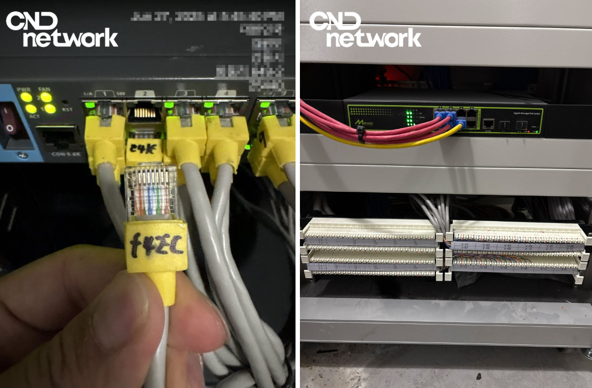 기숙사 IPTV 설치 랜선 라벨링 및 패치패널 정리 사진