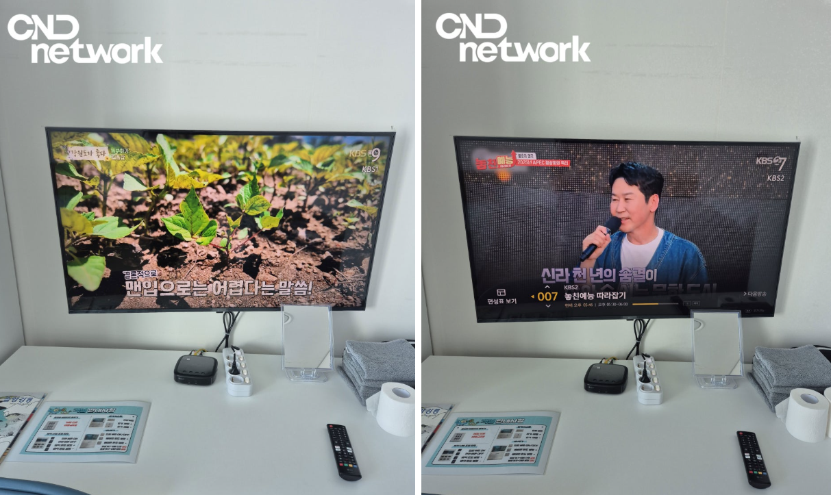 기숙사 호실 단체형 IPTV KBS 채널 시청 화면